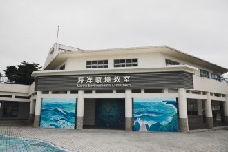 晉領號台東賞鯨