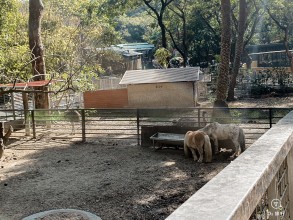 壽山動物園＿兒童牧場