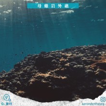 母雞岩外礁