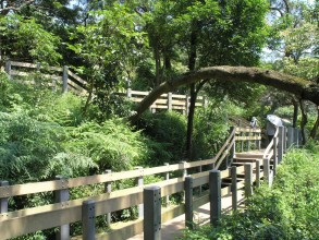 虎山親山步道