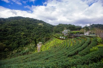 千島湖