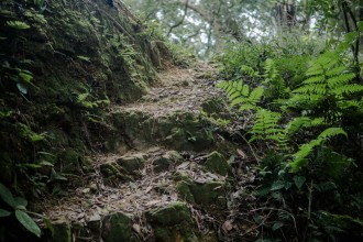 大棟山405三角點