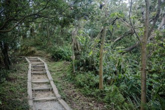 大棟山405三角點